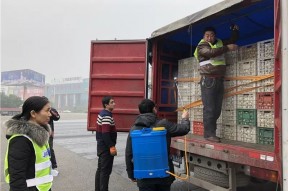 开云APP-河北省非洲猪瘟防控工作会议在石家庄召开